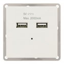 MODULO ENCASTRAR COM 2x USB 5V Max. 2000mA