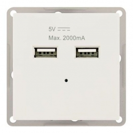 FLUSH MODULE WITH 2x USB 5V Max. 2000mA