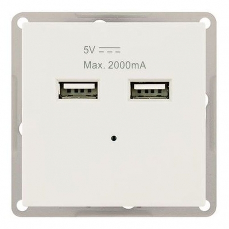 FLUSH MODULE WITH 2x USB 5V Max. 2000mA