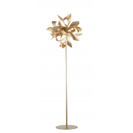 PIANTANA BLOOM ORO 4XG9 50X165CM
