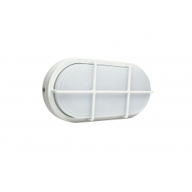 LED oval bulkhead