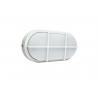 LED oval bulkhead