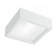 PLAFONIERA GABRIEL BIANCA 2XE27 25X25X8,5CM