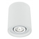 PLAFONIERA SPACE ORIENTABILE BIANCA 1XGU10 13,4X16