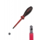 SPECIAL SCREWDRIVER PZ/FL1X 80