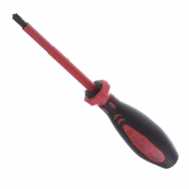 SPECIAL SCREWDRIVER PZ/FL2X100