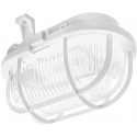 OVAL LED EVO 5W IP44 WHITE