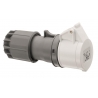 CONECTOR CEE, IP44, 32A, 3 PÓLOS, 42V, 12H, BRANCO