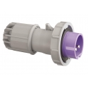 FICHA CEE, IP67, 16A, 3 PÓLOS, 24V, ROXO