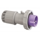 FICHA CEE, IP67, 16A, 3 PÓLOS, 24V, ROXO