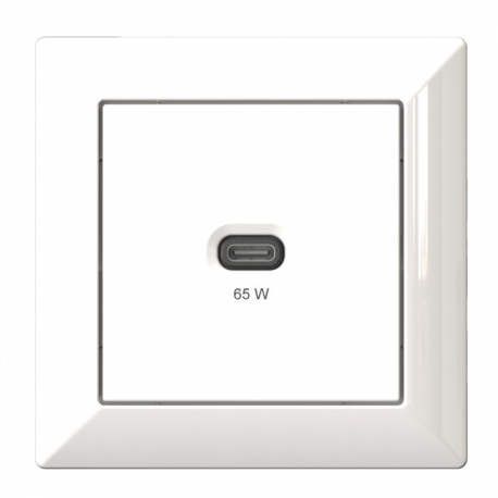 TOMADA ProfIssional T65.00 C/ESPELHO USB-C max.: 65 Watt RAL9010