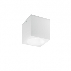 PLAFONIERA CITIZEN BIANCA E27 IP54