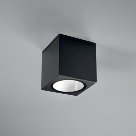 PLAFONIERA CITIZEN NERA E27 IP54