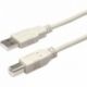 CABO USB FICHA A / FICHA A 3M