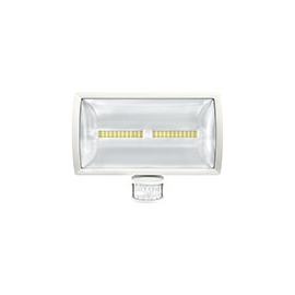 PROJECTOR LEDS theLeda E30 30W IP55 BR