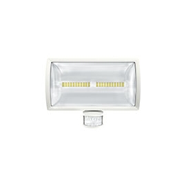 LED SPOTLIGHT theLeda E30 30W IP55 BR