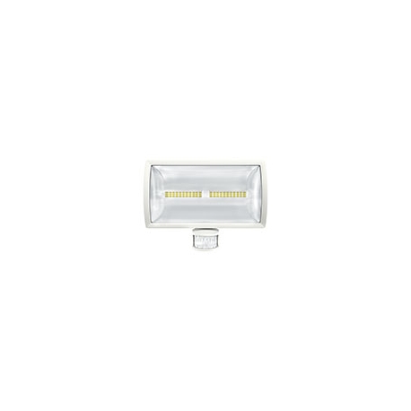 LED SPOTLIGHT theLeda E30 30W IP55 BR