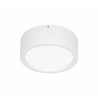 NECTRA S LED 26W 4000K (WHITE)