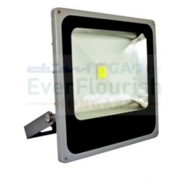 PROJECTOR COB LED 50W extrafino 3000K 2650 lm IP65