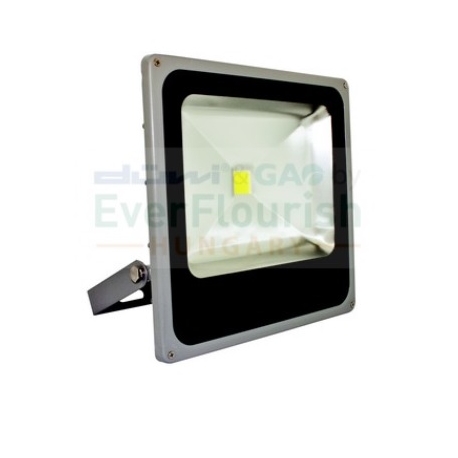 PROJECTOR COB LED 50W extrafino 3000K 2650 lm IP65