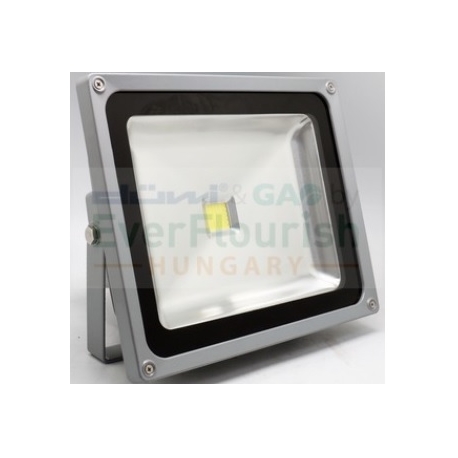 PROJECTOR COB LED 50W 120º 4000K 2750lm IP65