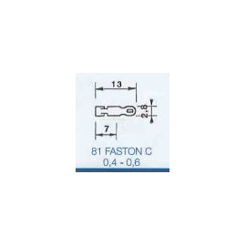 TERMINAL FASTON 81 C 