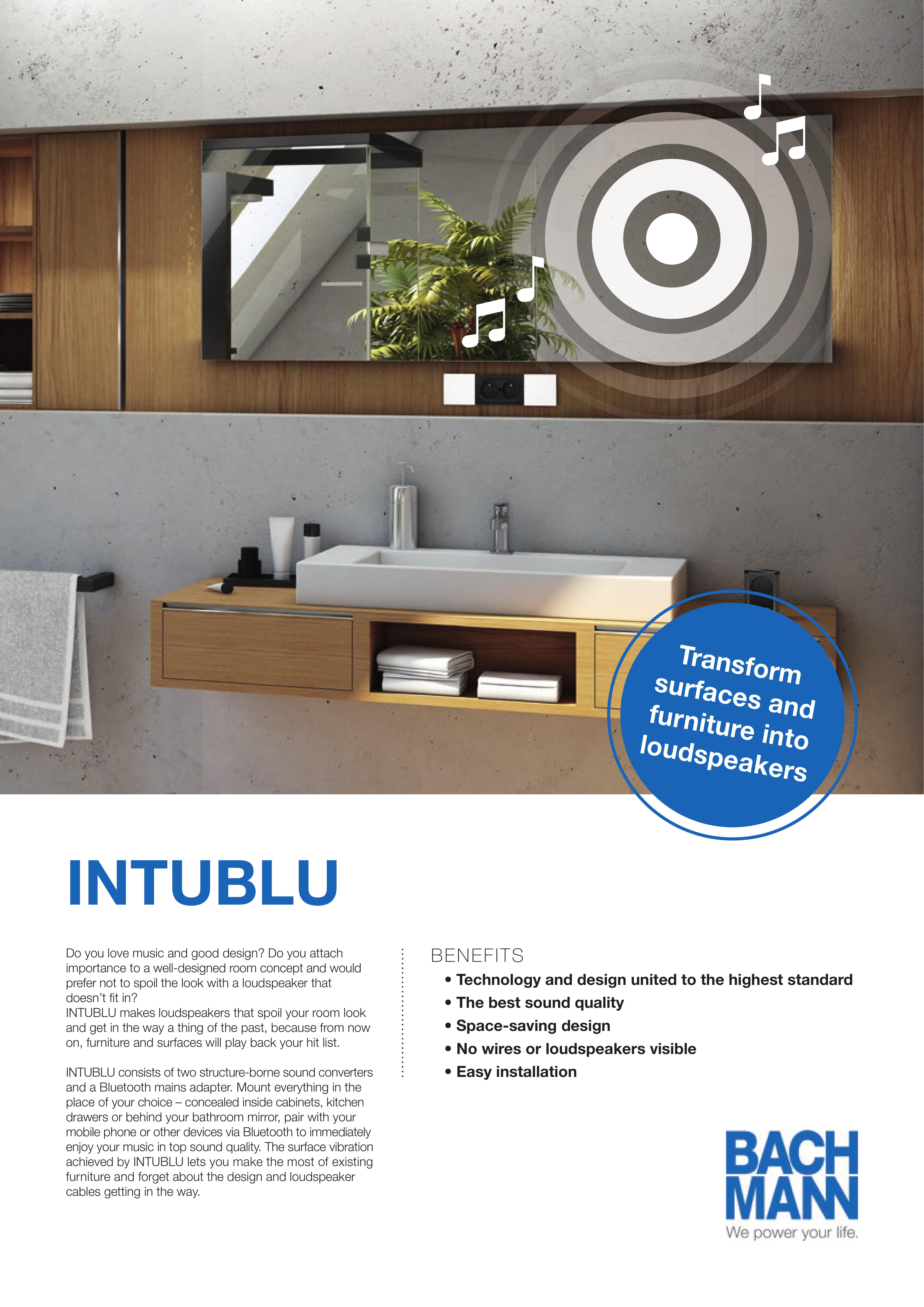 Flyer_INTUBLU