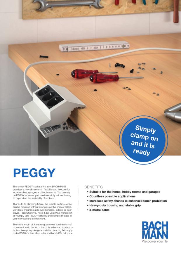 Flyer_PEGGY